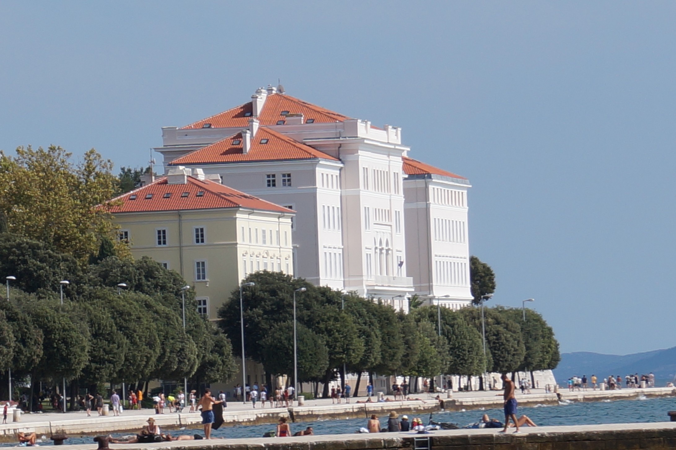 Galerie Bild